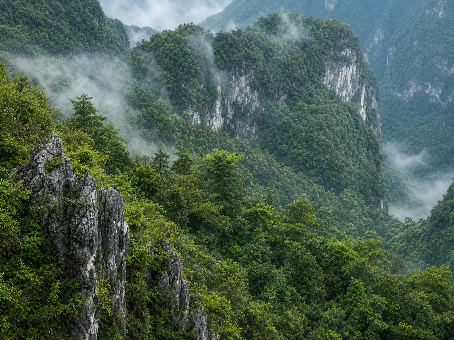 广西喀斯特山地与常绿阔叶林高清实景感风貌